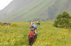 munnar