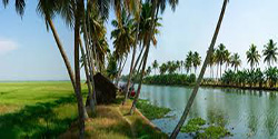 kumarakom